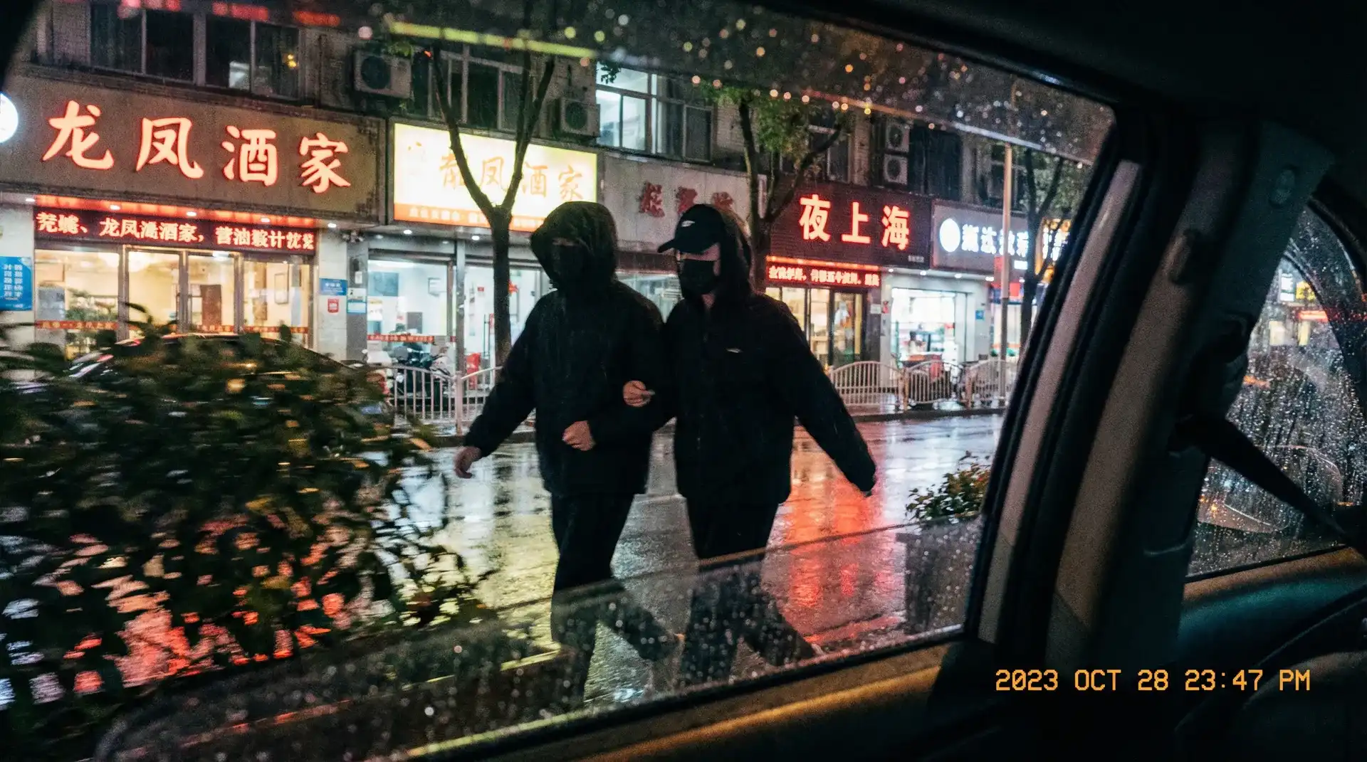 一个人在线看的免费视频大全 - 顶流明星深夜密会现场抓拍照片